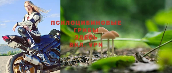 ПСИЛОЦИБИНОВЫЕ ГРИБЫ Алексеевка