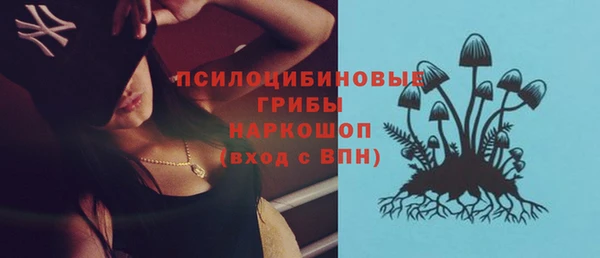 МДПВ Алзамай