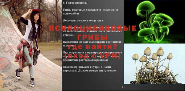 ПСИЛОЦИБИНОВЫЕ ГРИБЫ Алексеевка