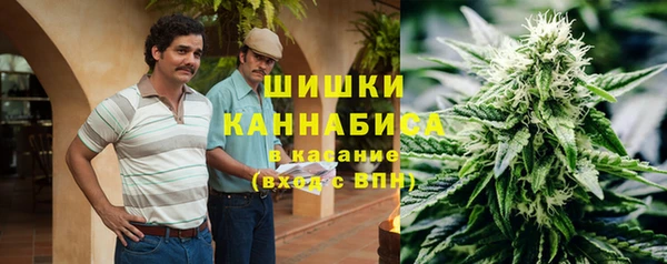 ПСИЛОЦИБИНОВЫЕ ГРИБЫ Алексеевка