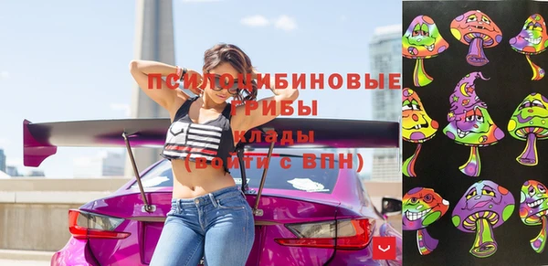 ПСИЛОЦИБИНОВЫЕ ГРИБЫ Алексеевка